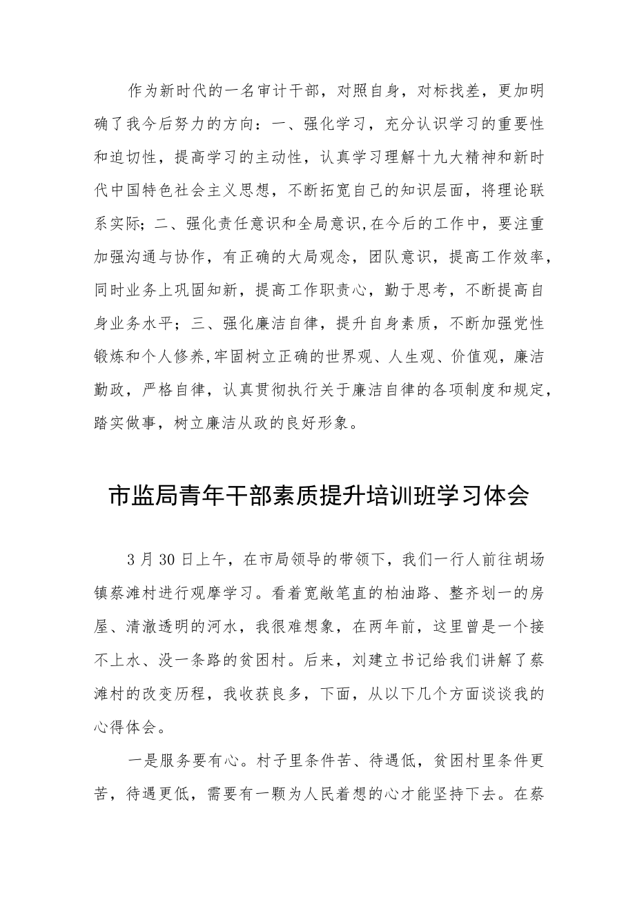 优秀年轻干部培训班学习体会五篇.docx_第3页