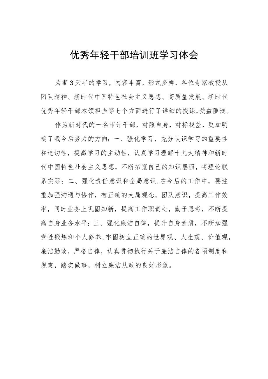 优秀年轻干部培训班学习体会.docx_第1页