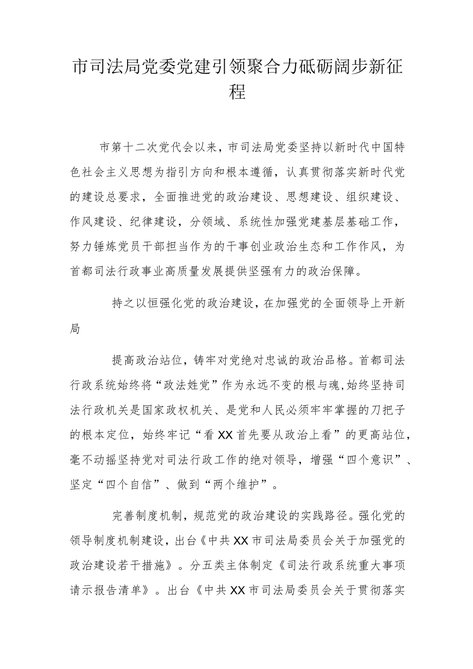 市司法局党委党建引领聚合力 砥砺阔步新征程.docx_第1页