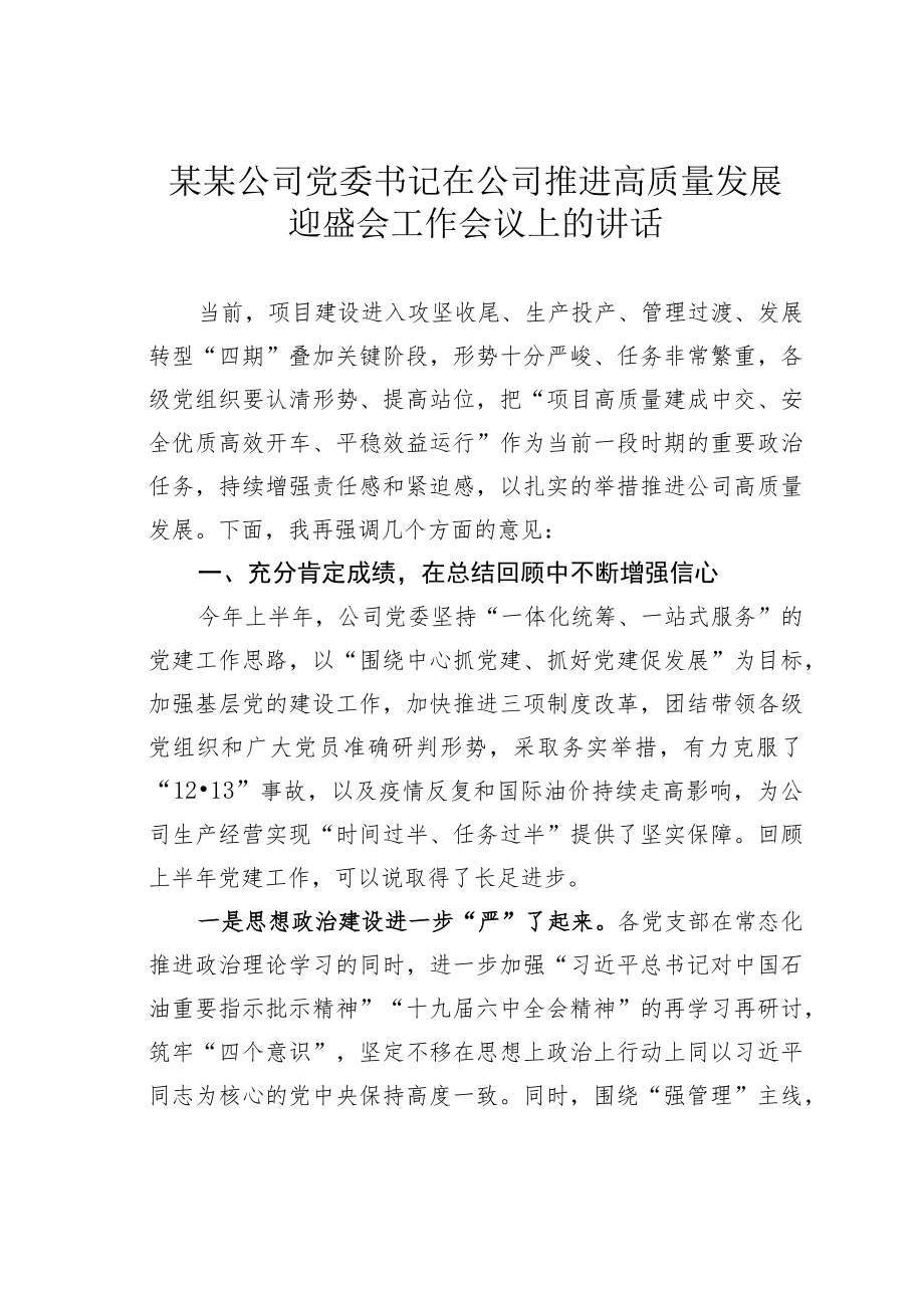 某某公司党委书记在公司推进高质量发展迎盛会工作会议上的讲话.docx_第1页