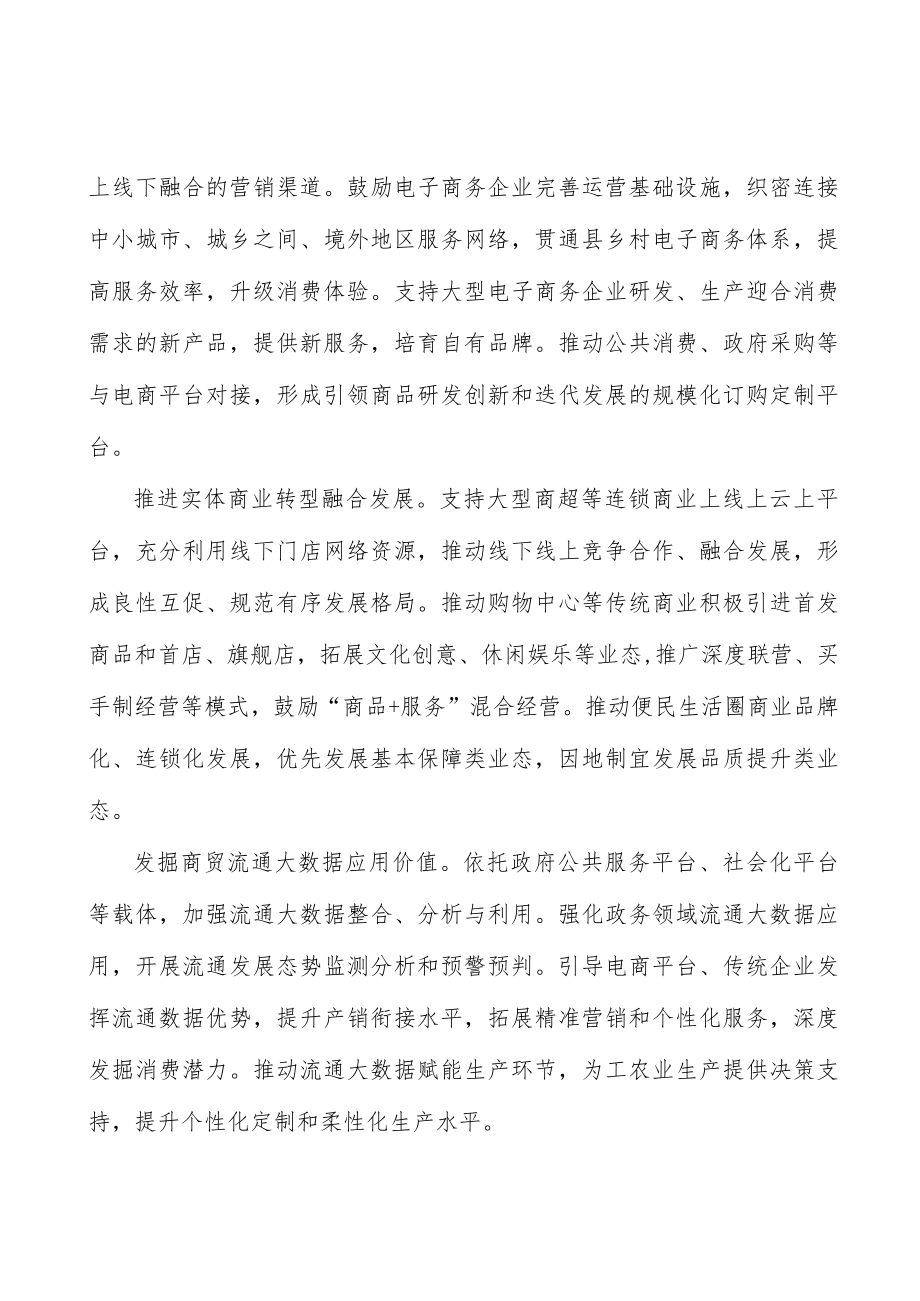 推动跨境支付体系建设实施方案.docx_第3页