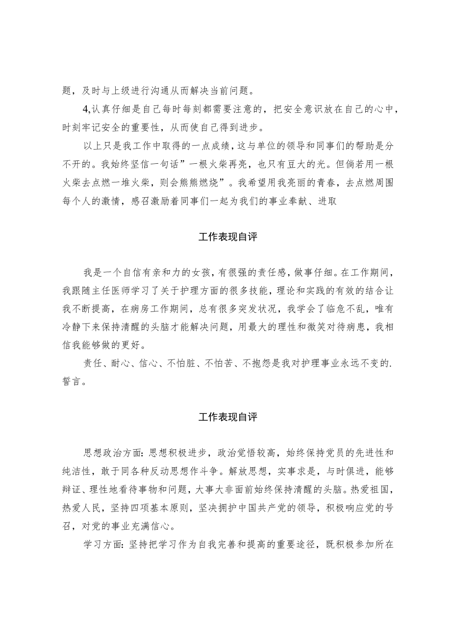 工作表现自评.docx_第2页