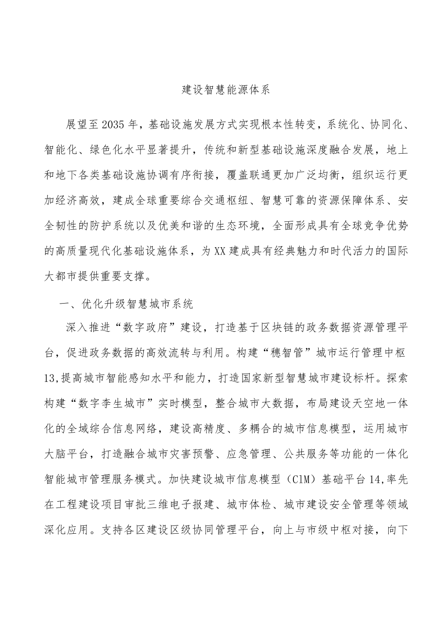 建设智慧能源体系.docx_第1页