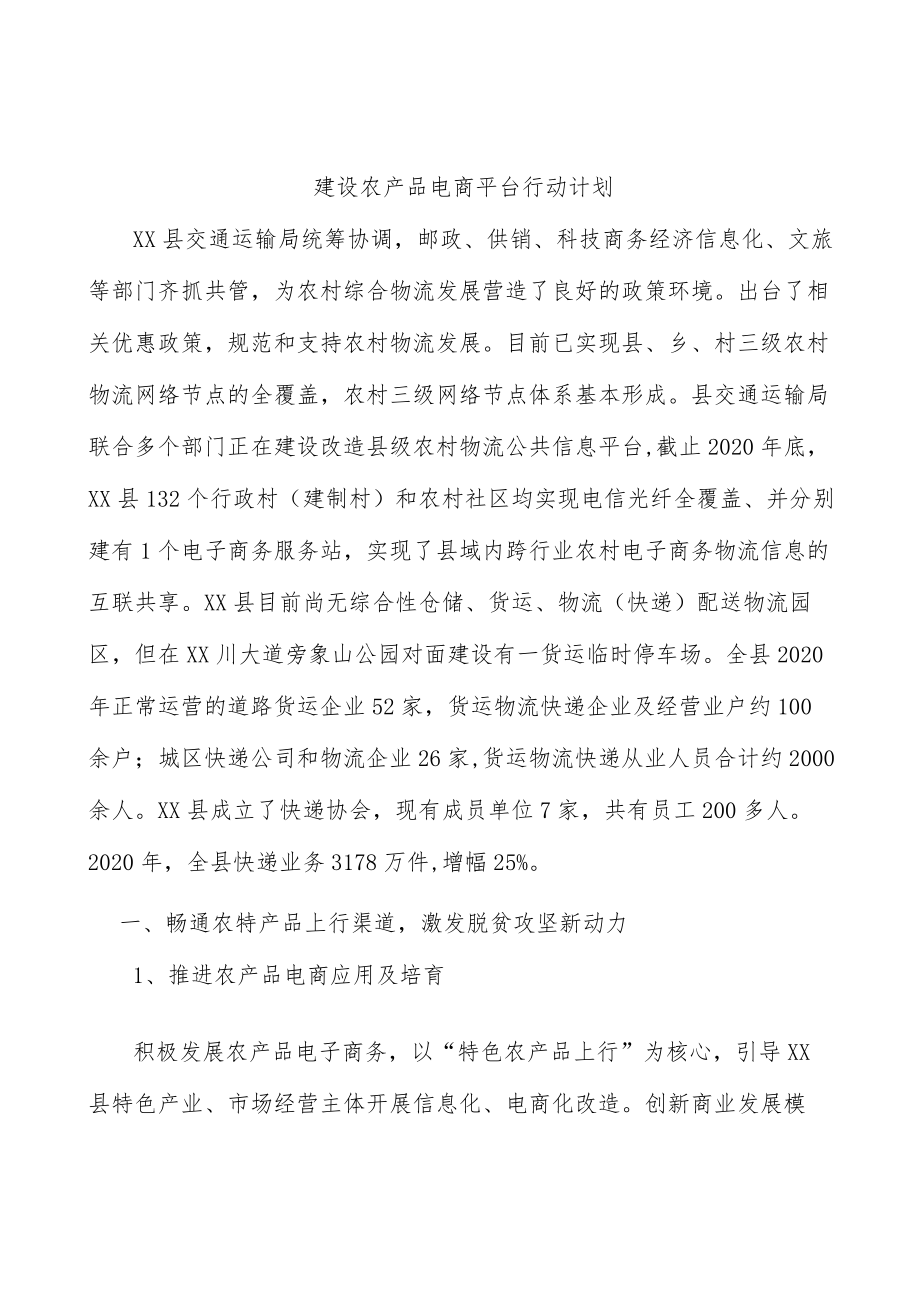 建设农产品电商平台行动计划.docx_第1页