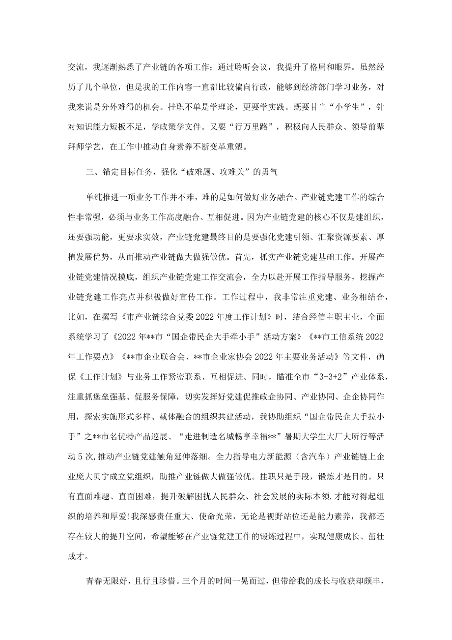 挂职干部座谈交流发言.docx_第2页