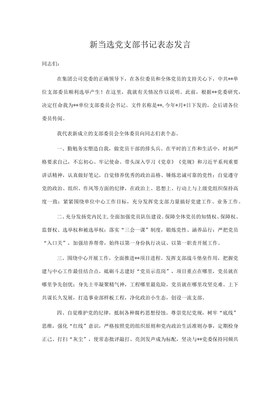 新当选党支部书记表态发言.docx_第1页