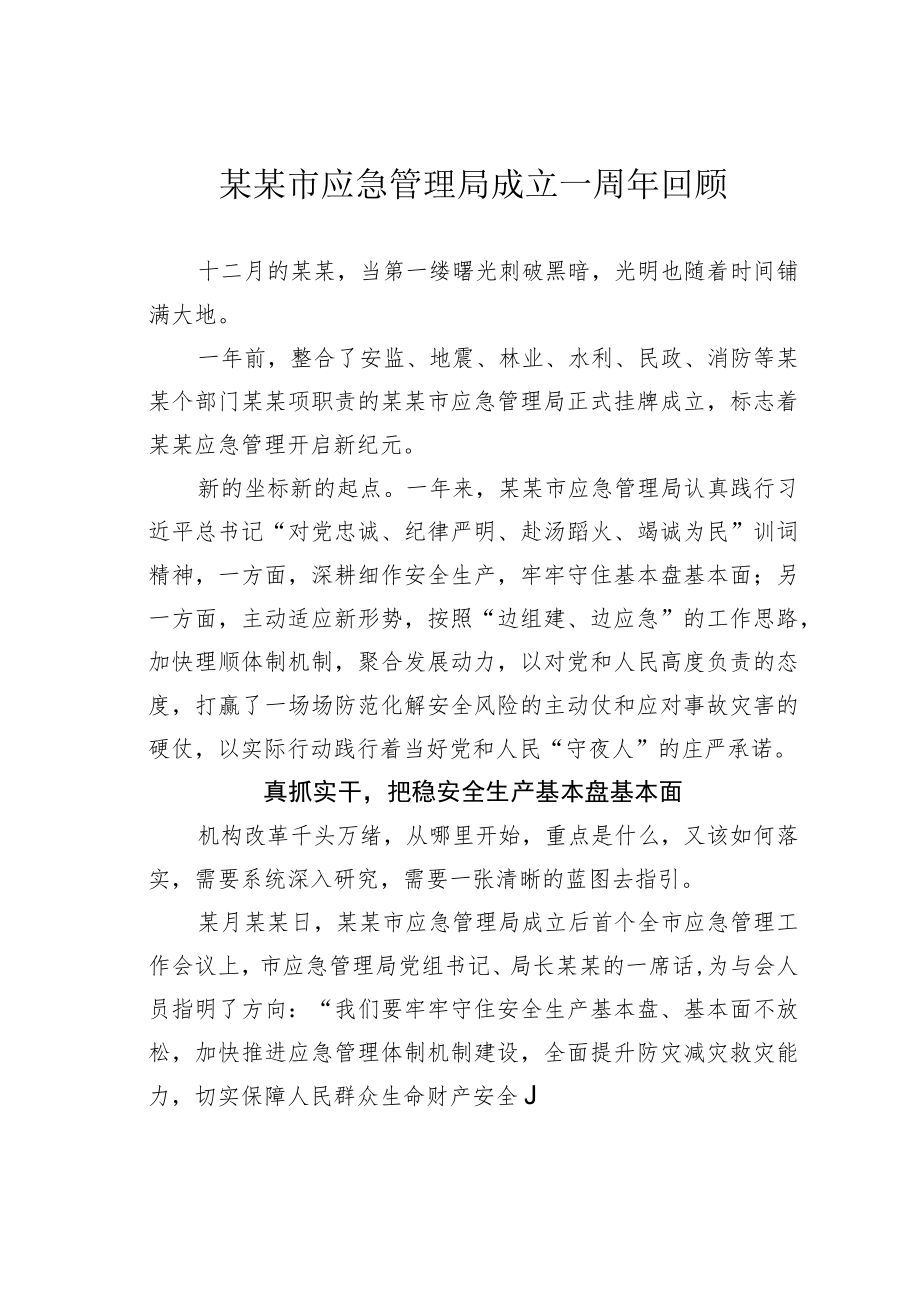 某某市应急管理局成立一周年回顾.docx_第1页