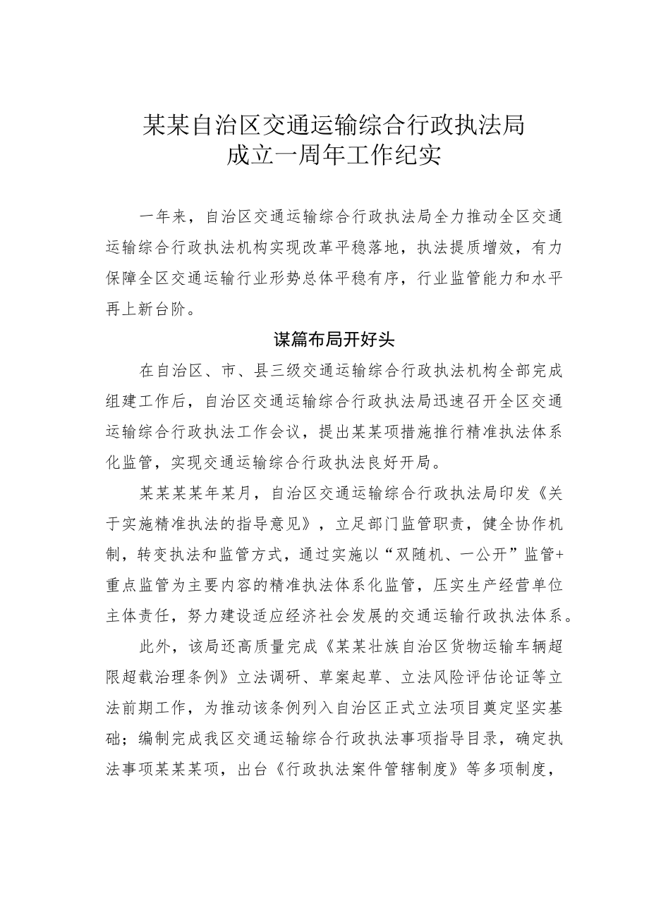 某某自治区交通运输综合行政执法局成立一周年工作纪实.docx_第1页