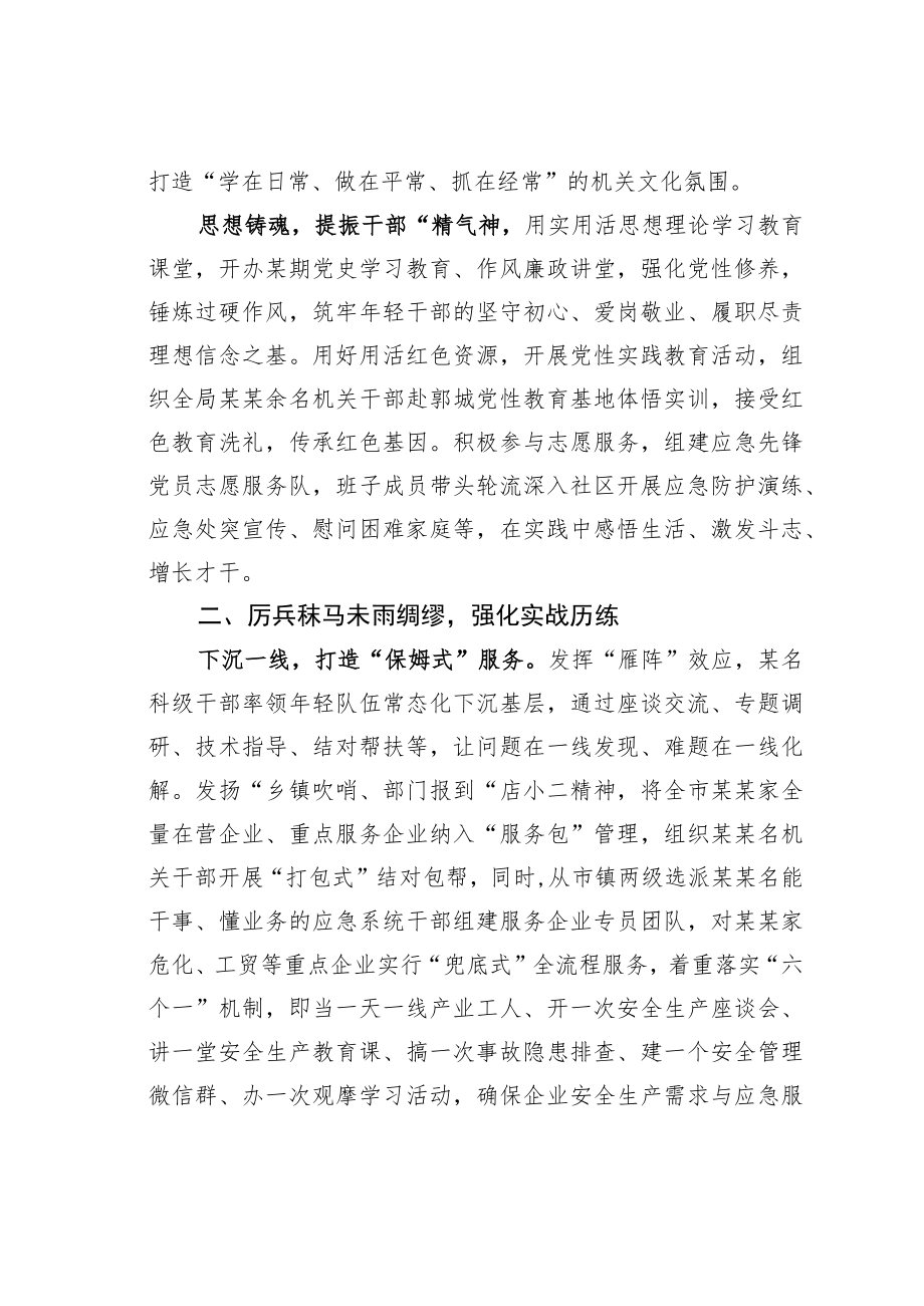 某某市应急管理局工作经验交流材料：树牢服务理念争做应急先锋.docx_第2页