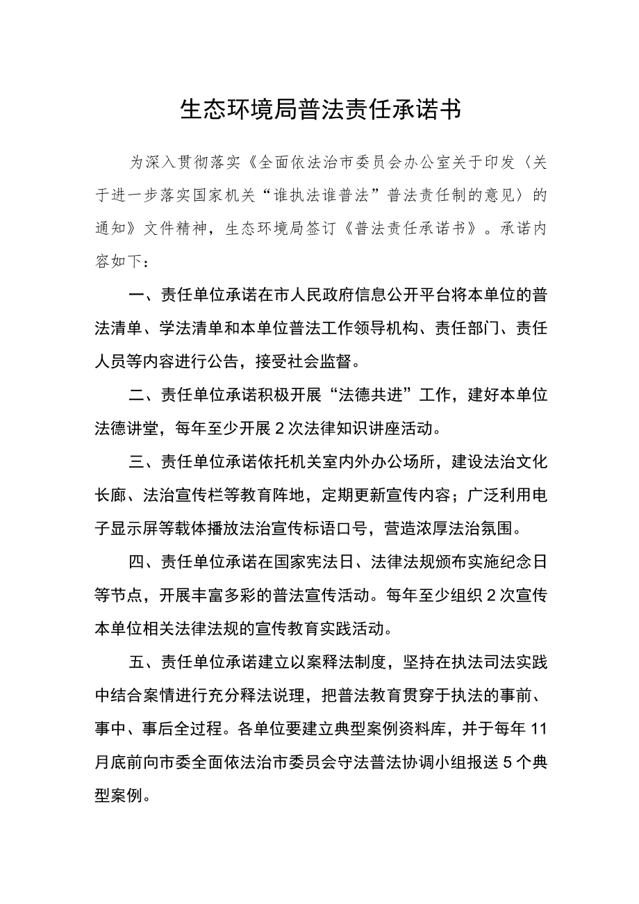 生态环境局普法责任承诺书.docx_第1页