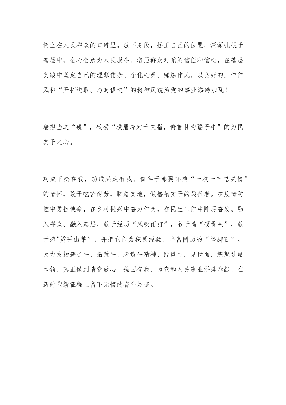 青年干部学习心得体会：信仰坚定、勤勉敬业、清正廉洁、为民实干.docx_第3页