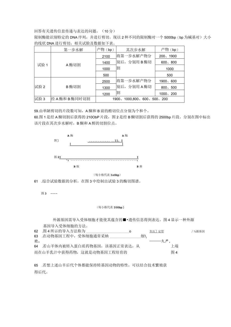 回答有关遗传信息传递与表达的问题.docx_第1页