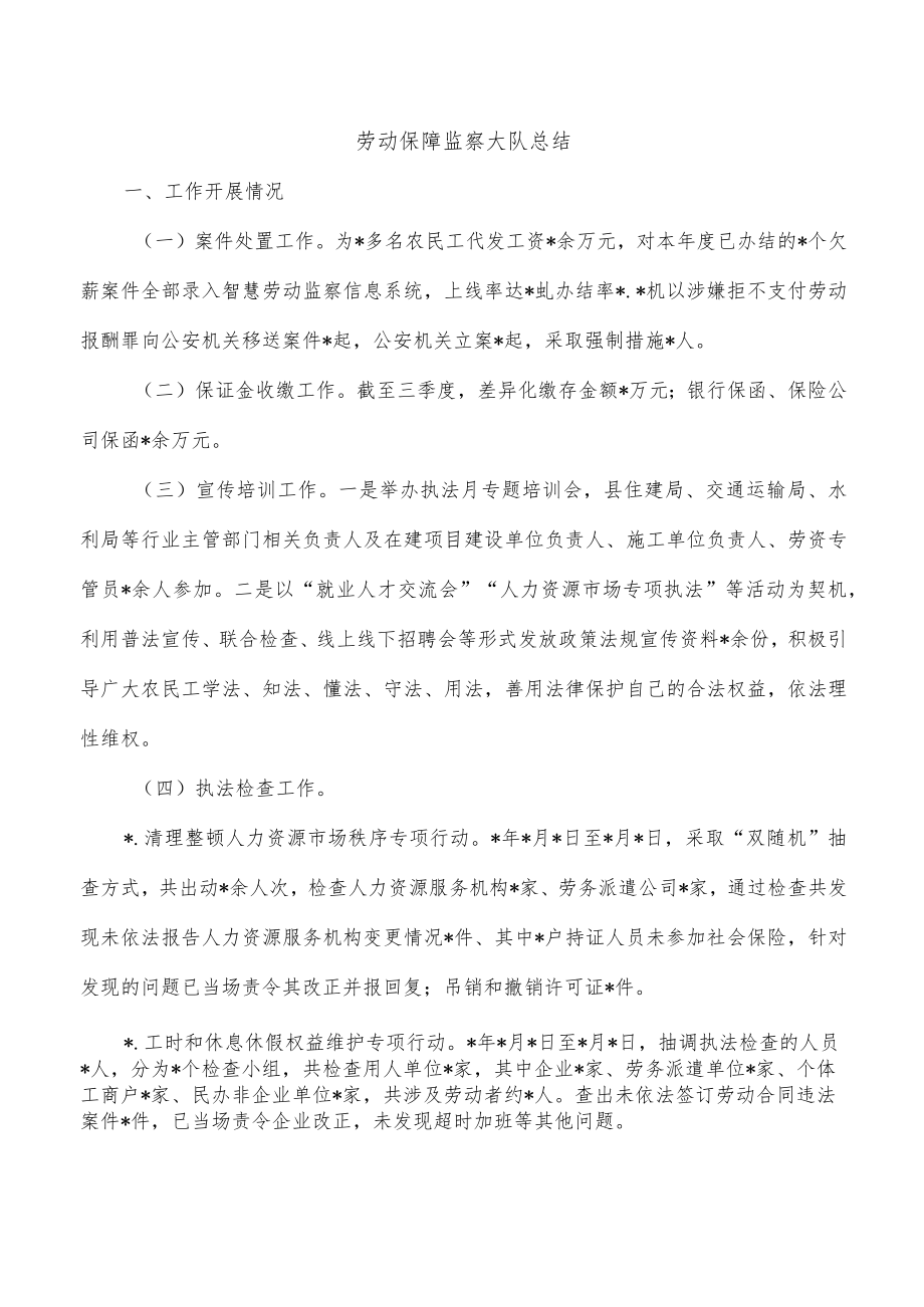 劳动保障监察大队总结.docx_第1页