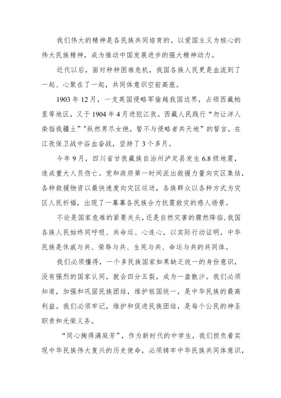 国旗下讲话《中华民族一家亲 同心共筑中国梦》.docx_第2页