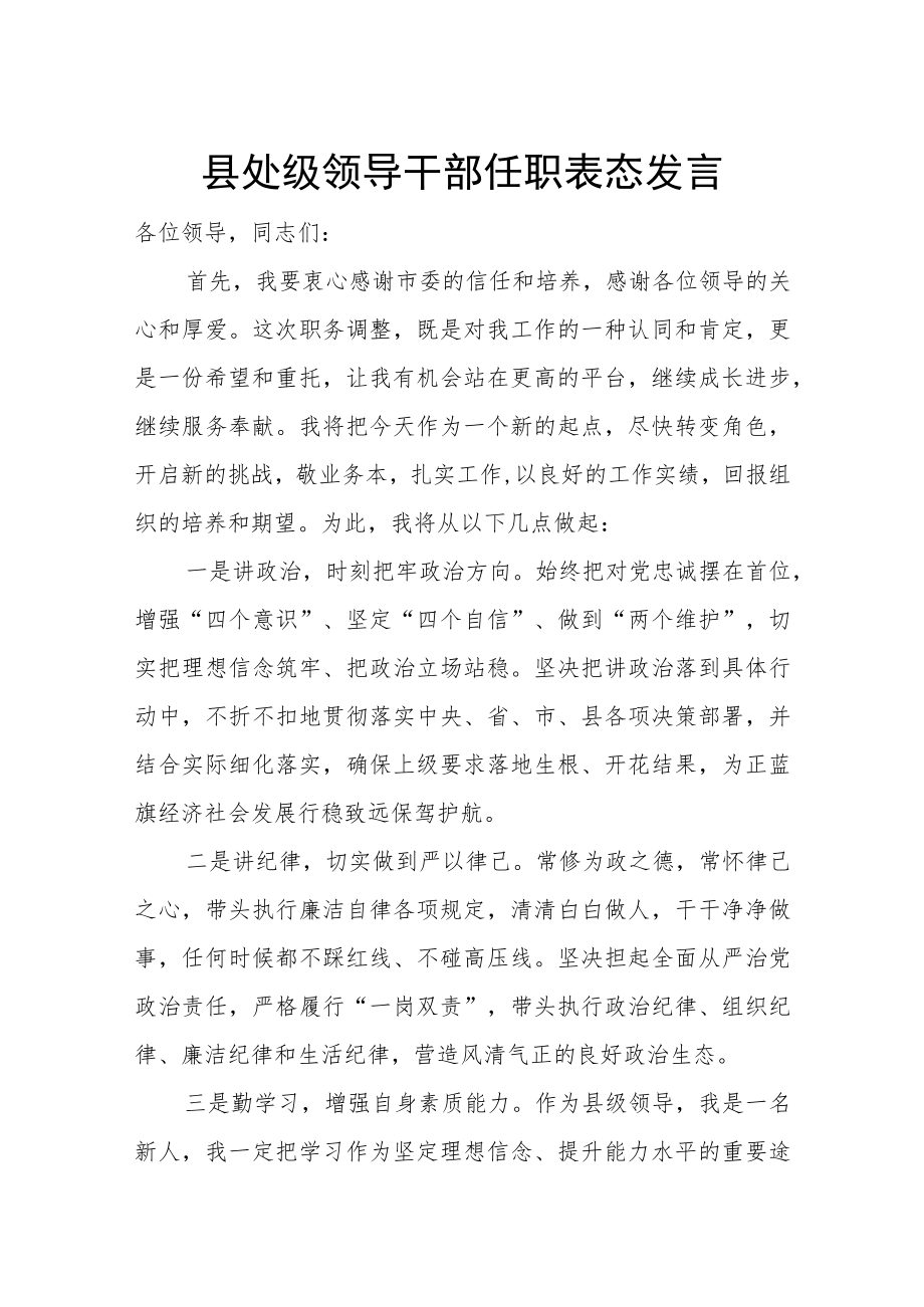 县处级领导干部任职表态发言.docx_第1页