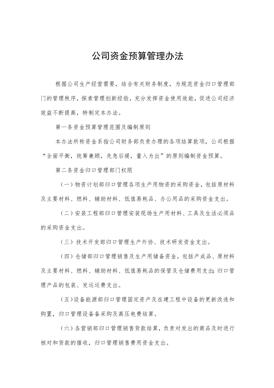 公司资金预算管理办法.docx_第1页