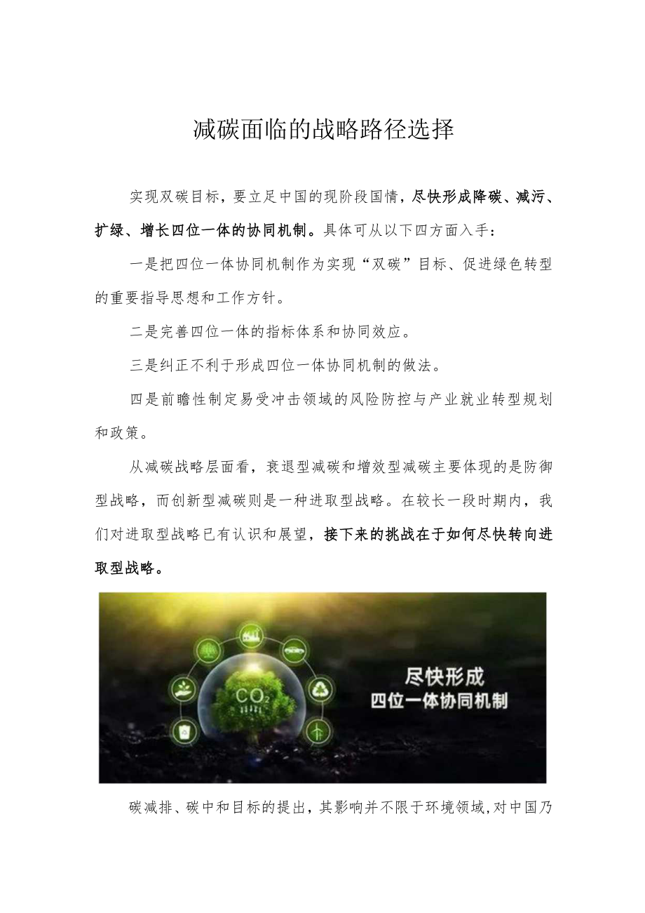 减碳面临的战略路径选择.docx_第1页