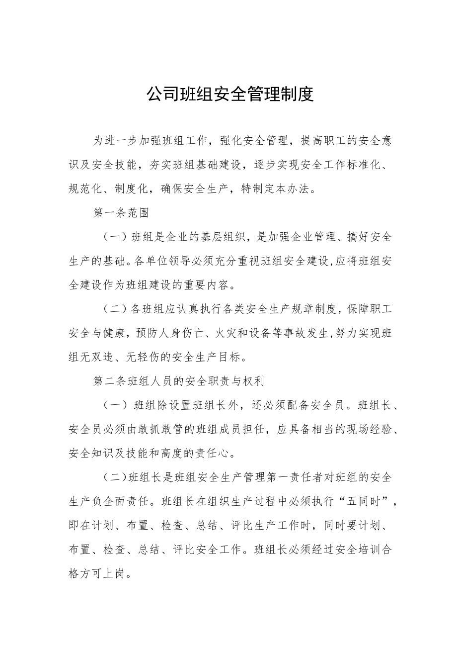 公司班组安全管理制度.docx_第1页