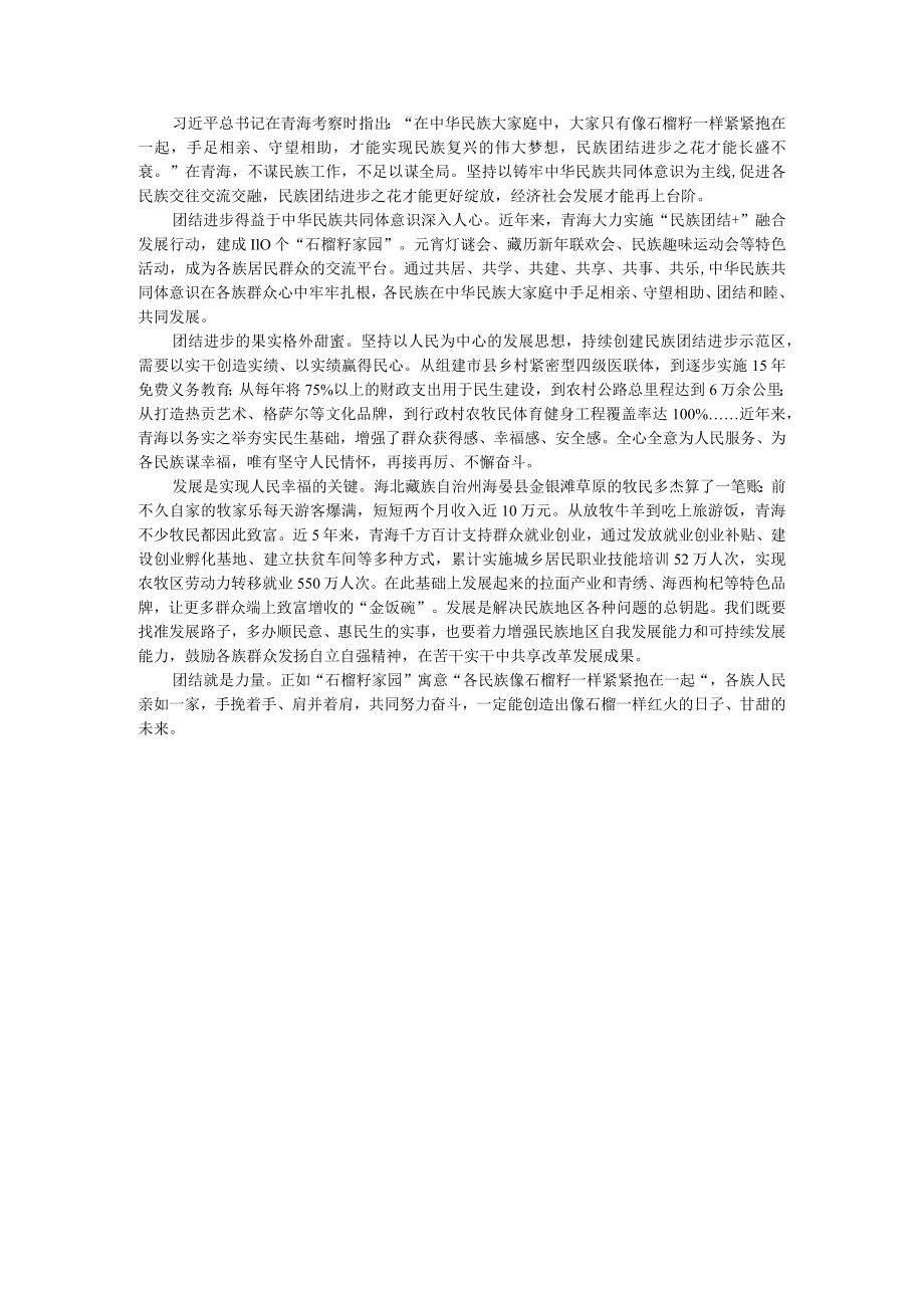 团结进步的果实格外甜蜜.docx_第1页