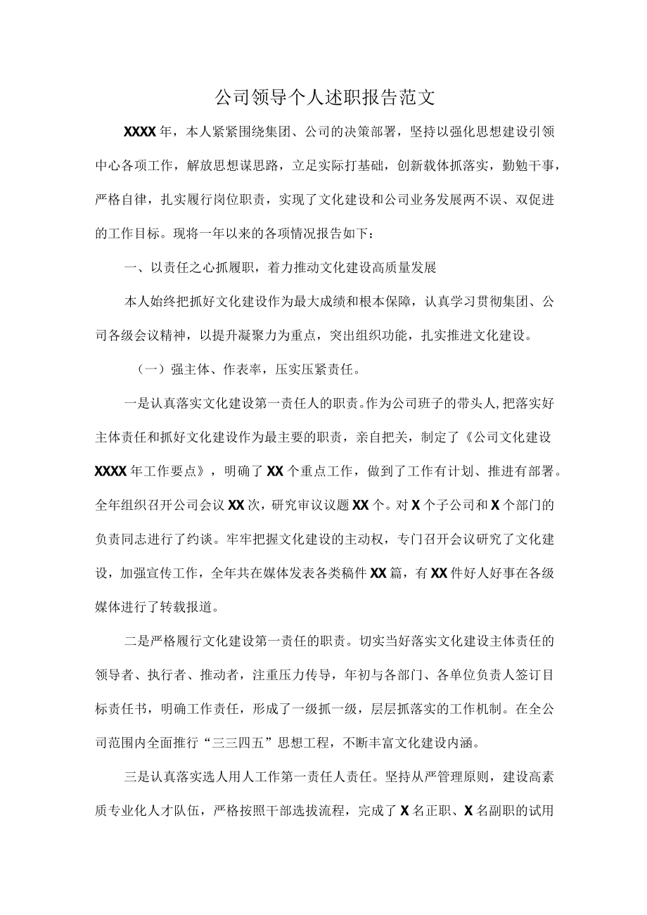 公司领导个人述职报告范文.docx_第1页