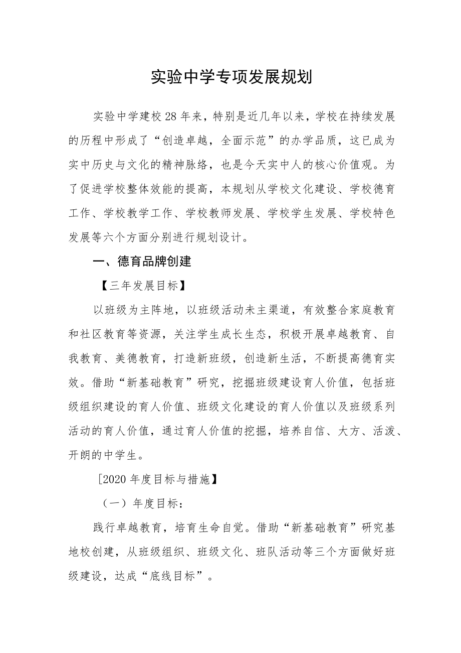 实验中学专项发展规划.docx_第1页