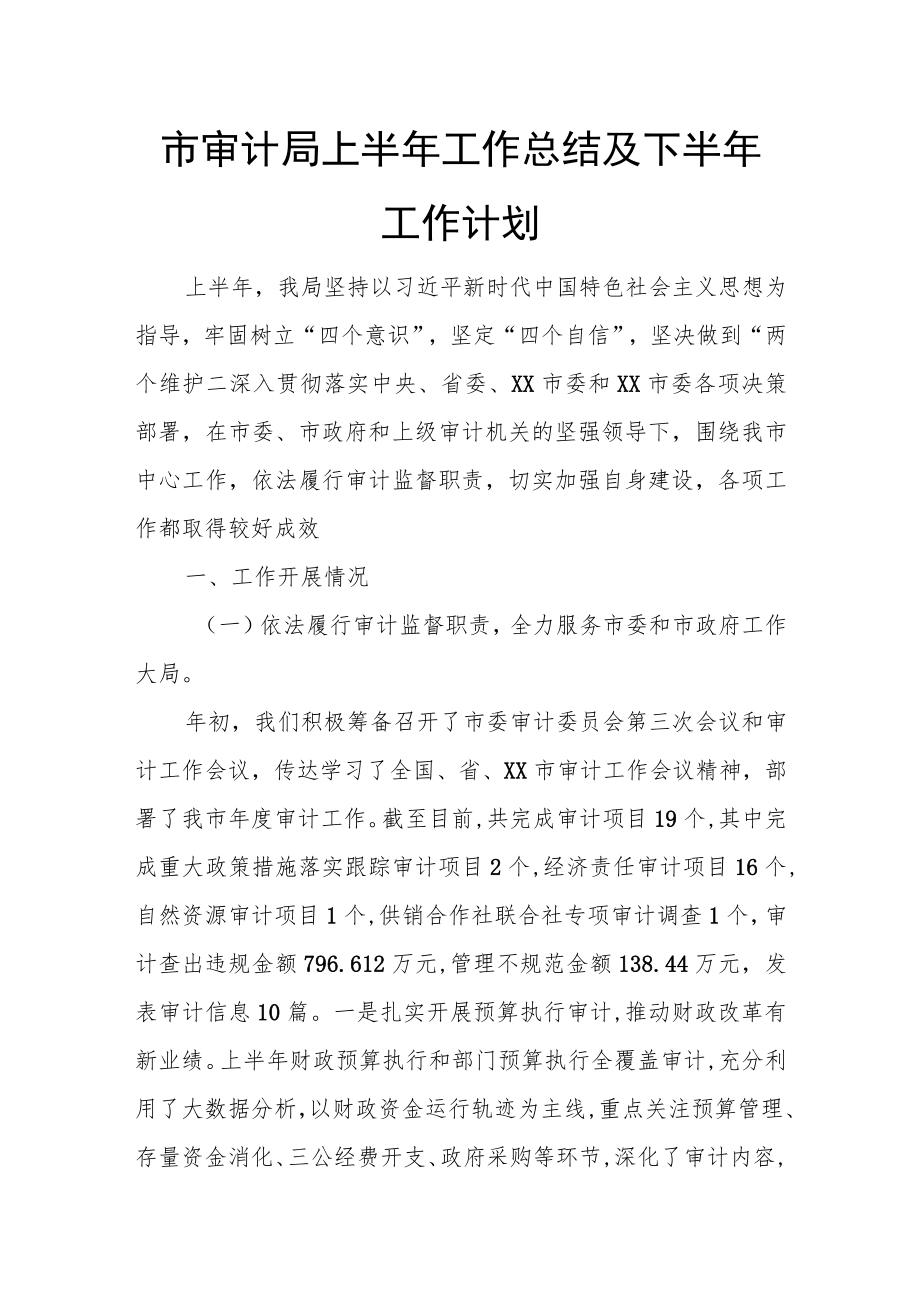 市审计局上半年工作总结及下半年工作计划.docx_第1页