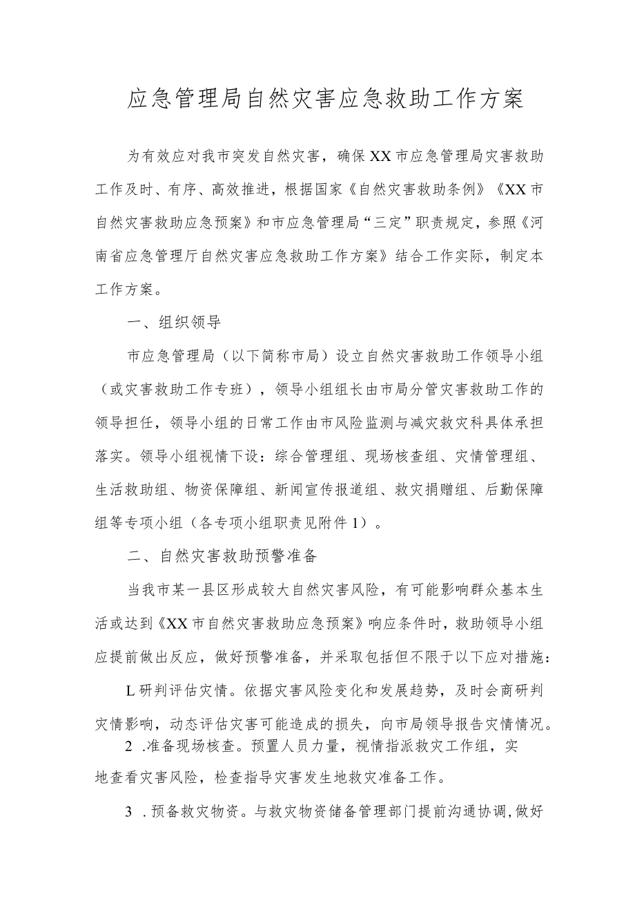 应急管理局自然灾害应急救助工作方案.docx_第1页