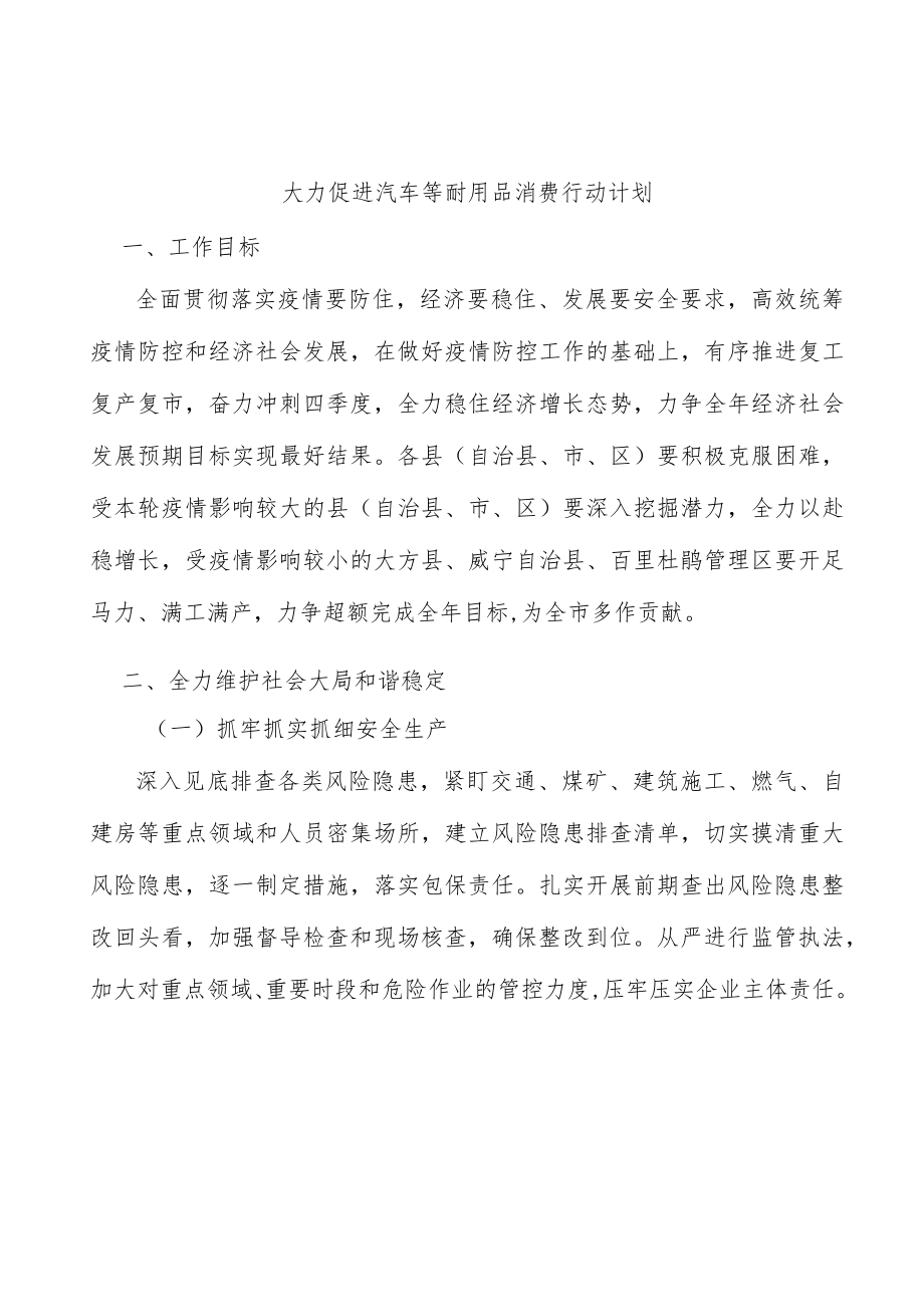 大力促进汽车等耐用品消费行动计划.docx_第1页