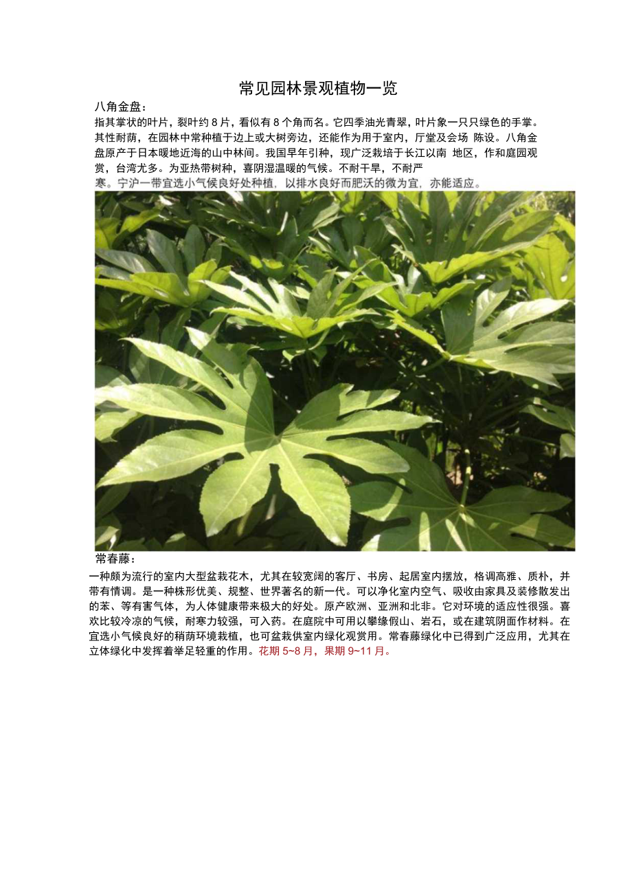 常见园林景观植物一览.docx_第1页