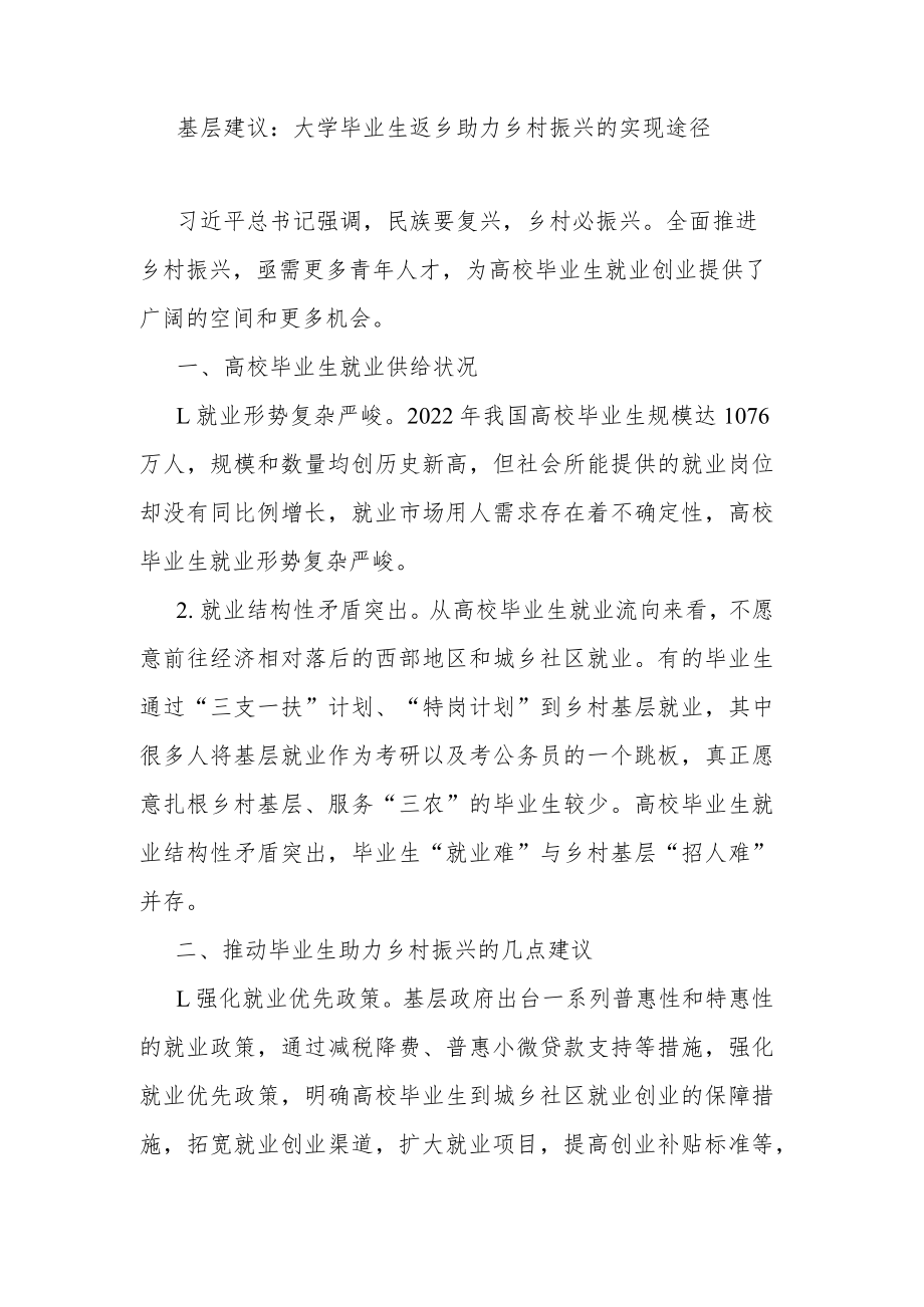 基层建议：大学毕业生返乡助力乡村振兴的实现途径.docx_第1页