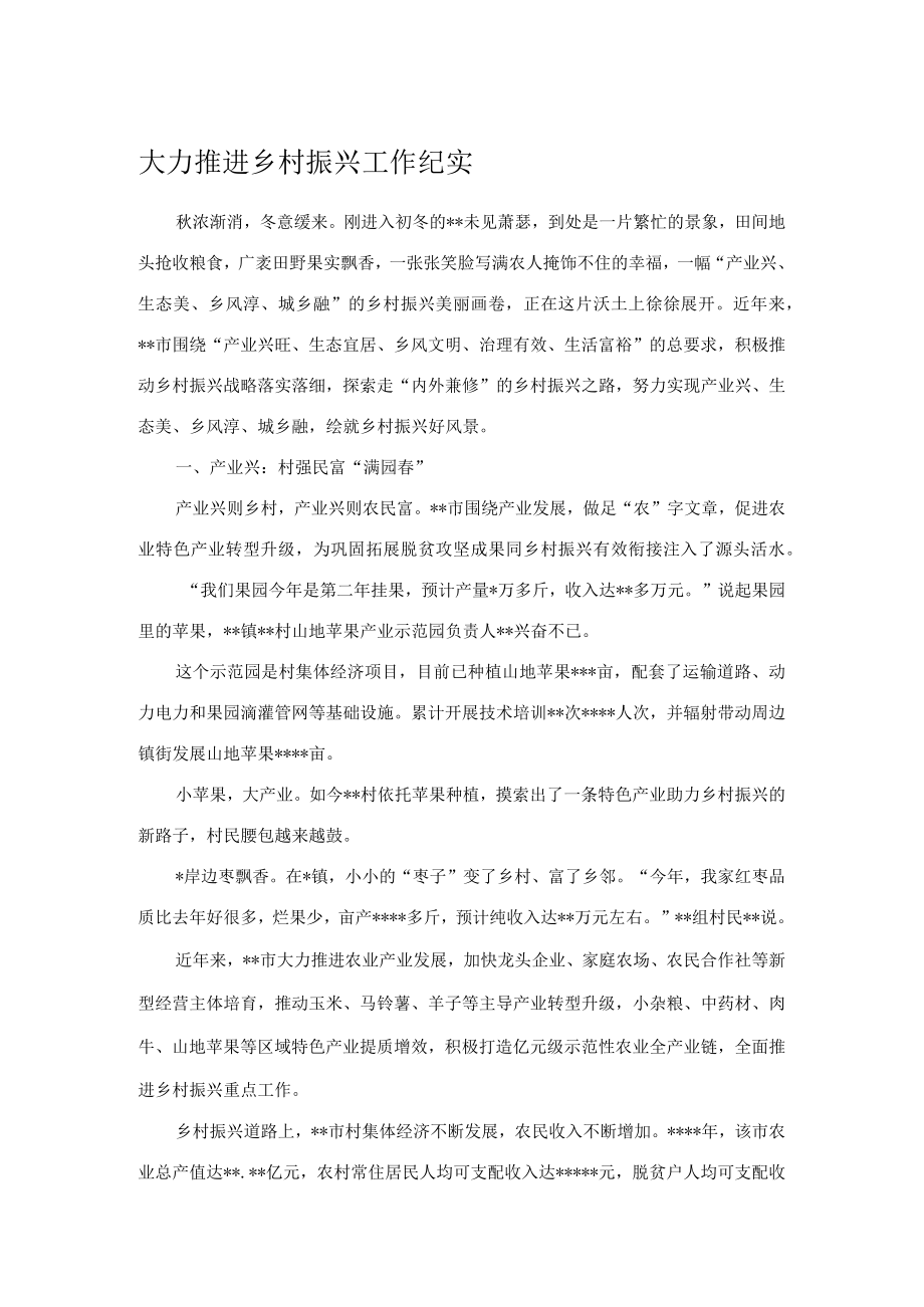 大力推进乡村振兴工作纪实.docx_第1页