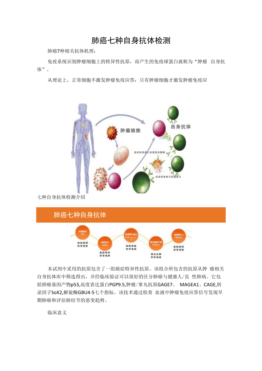 肺癌七种自身抗体检测.docx_第1页