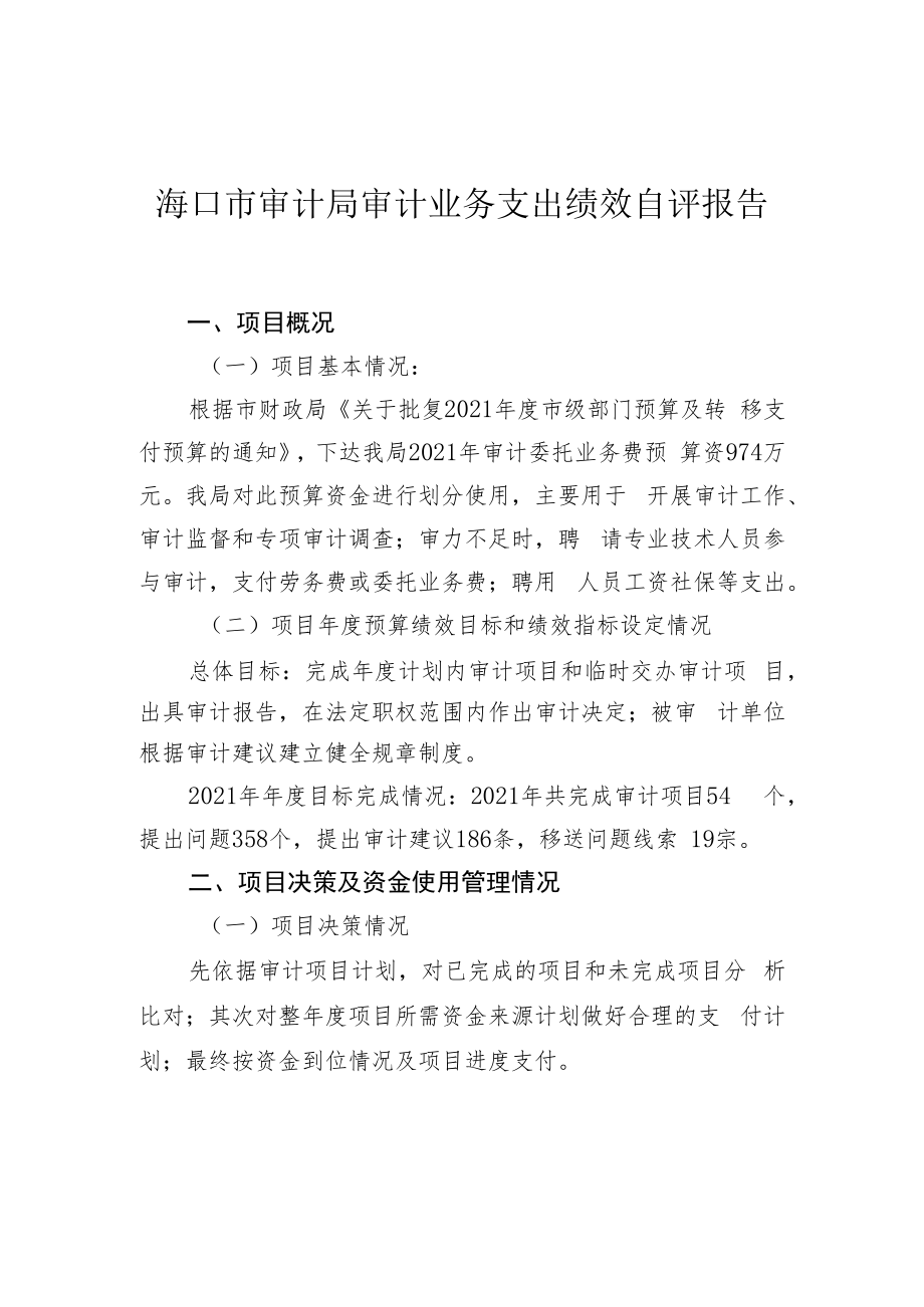 海口市审计局审计业务支出绩效自评报告.docx_第1页