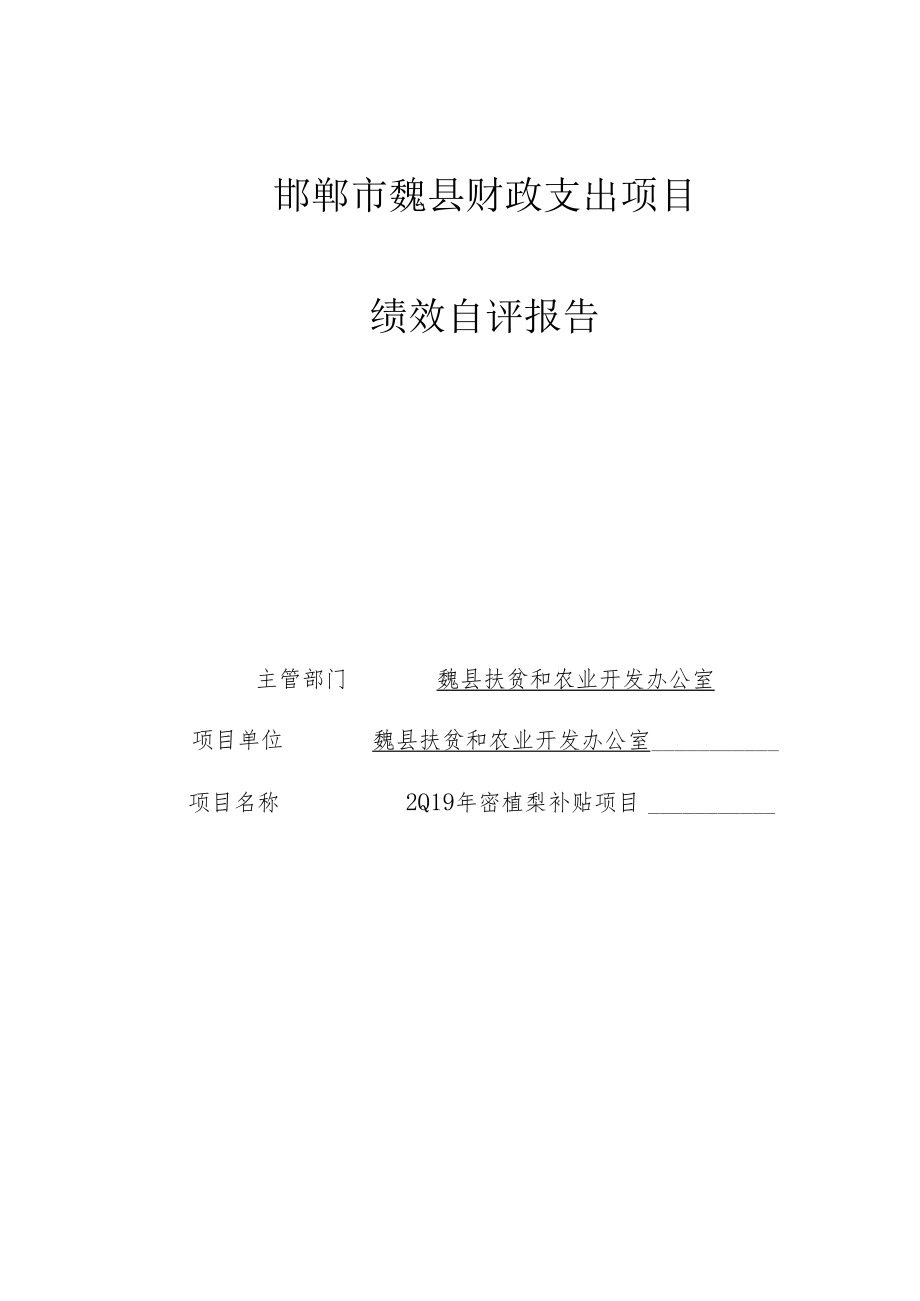 邯郸市魏县财政支出项目绩效自评报告.docx_第1页