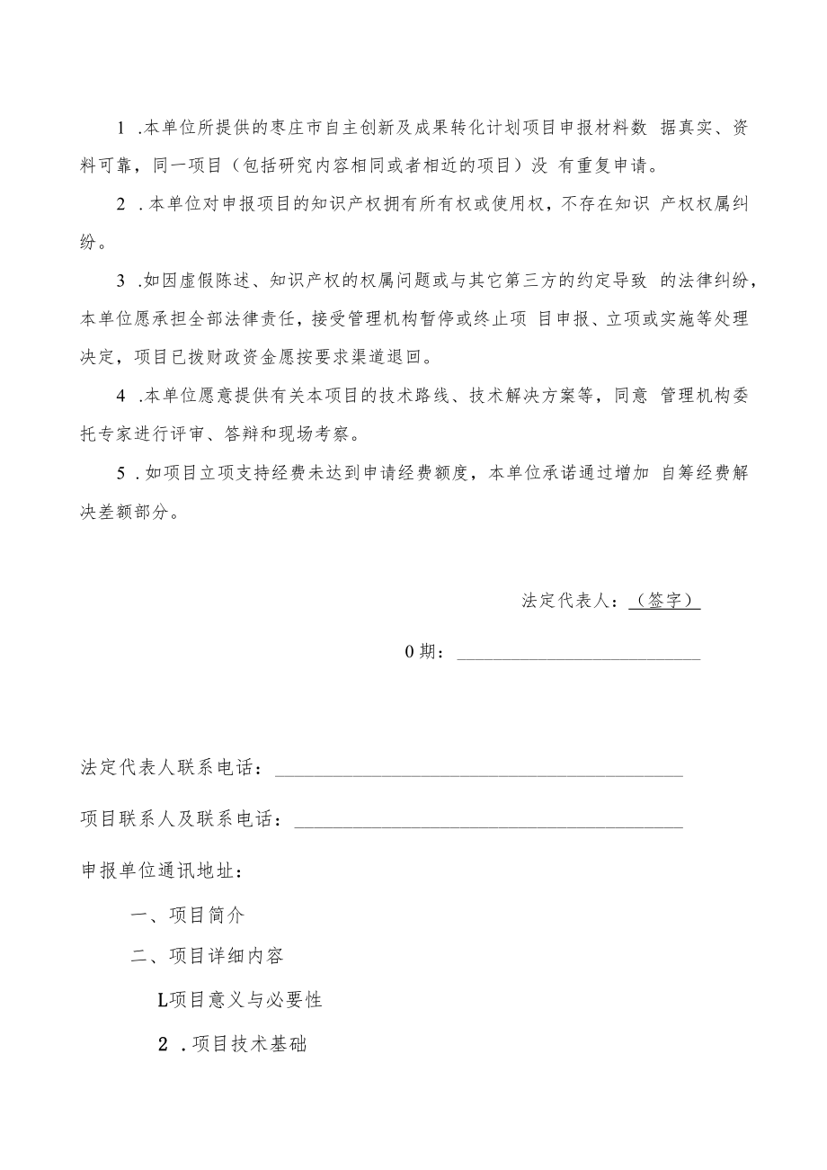 项目类别：.docx_第2页