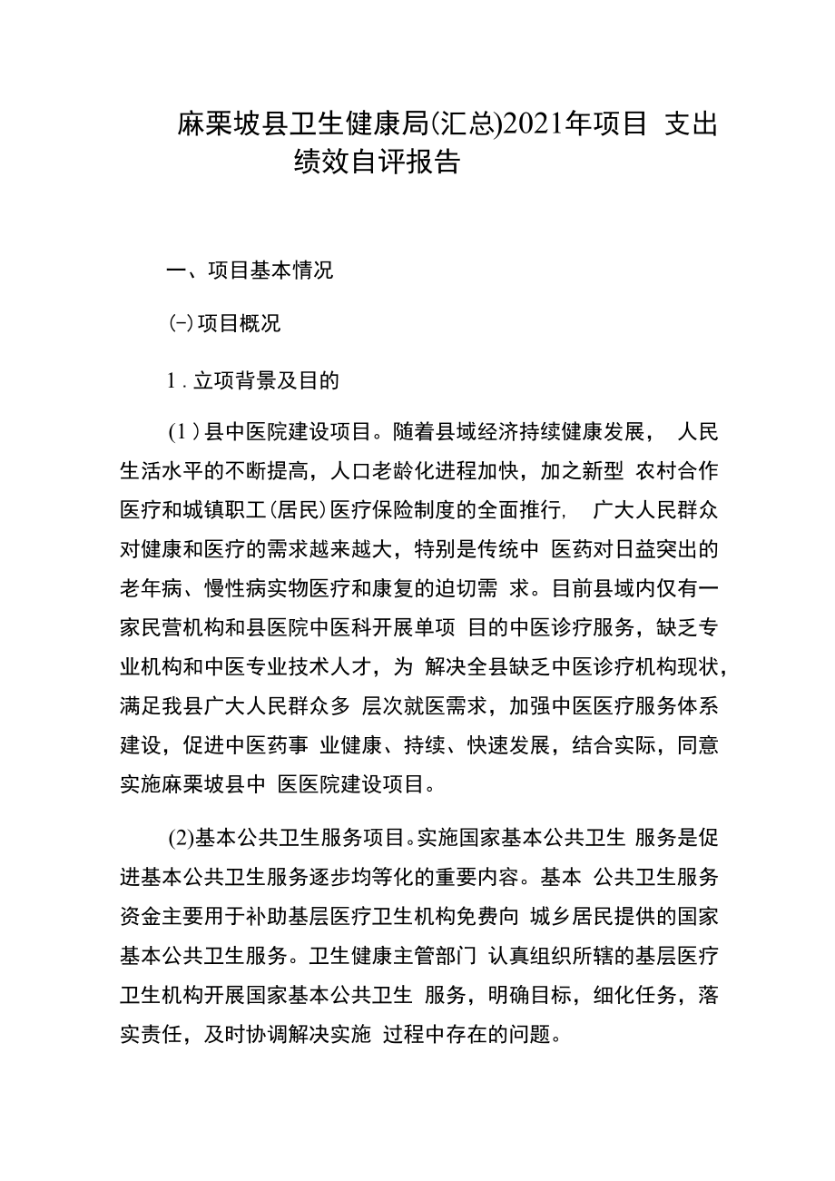 麻栗坡县卫生健康局汇总2021年项目支出绩效自评报告.docx_第1页