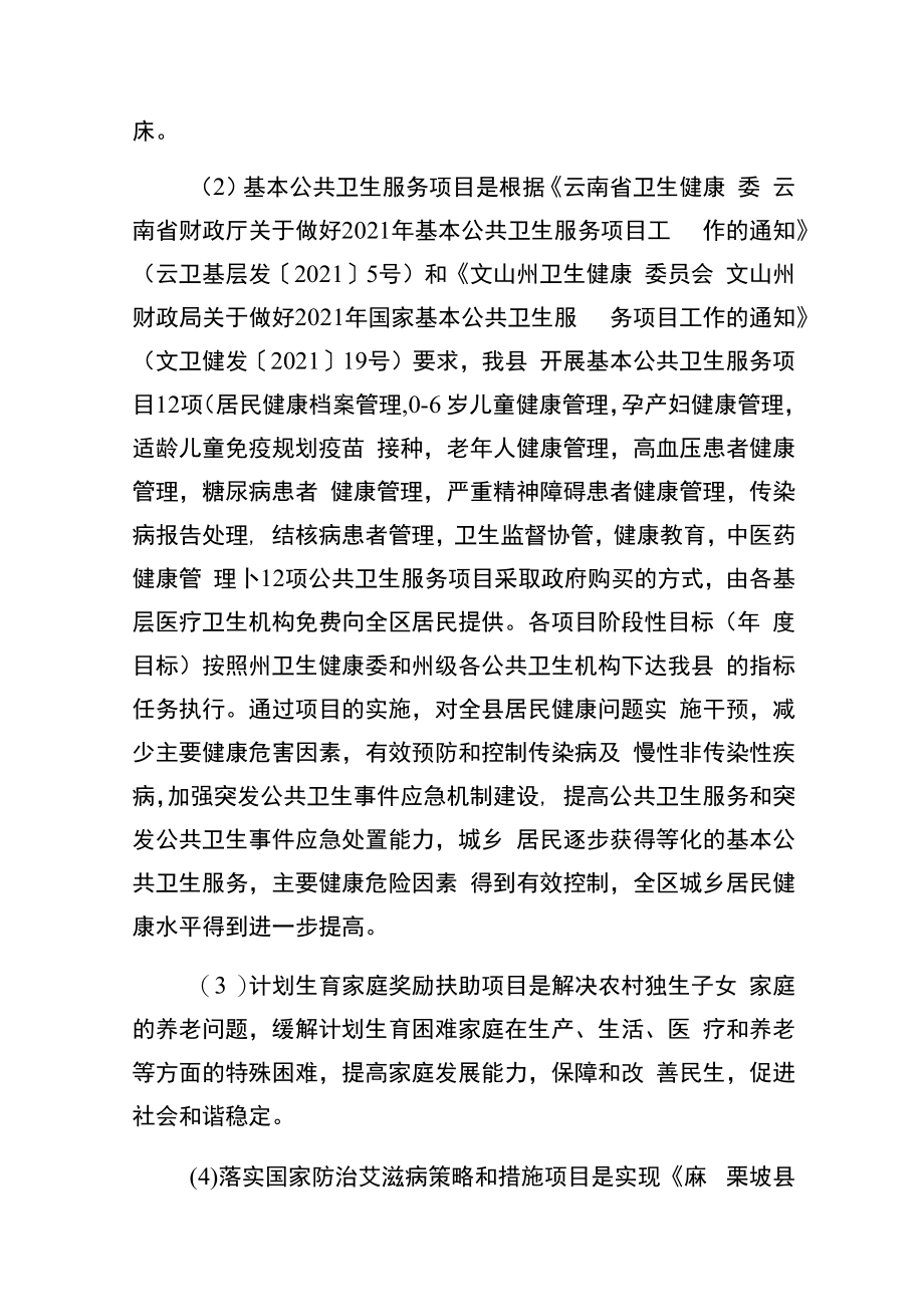 麻栗坡县卫生健康局汇总2021年项目支出绩效自评报告.docx_第3页