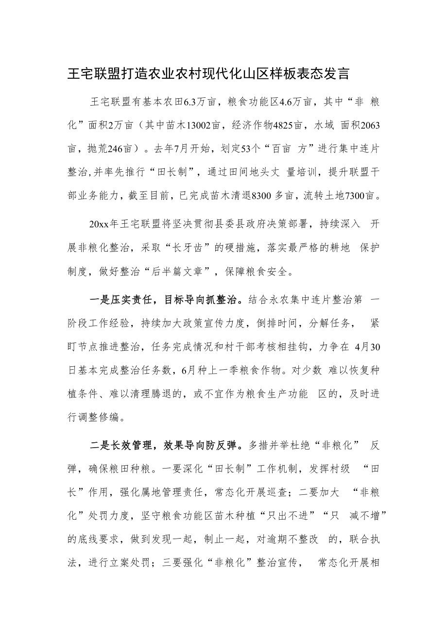 王宅联盟打造农业农村现代化山区样板表态发言.docx_第1页