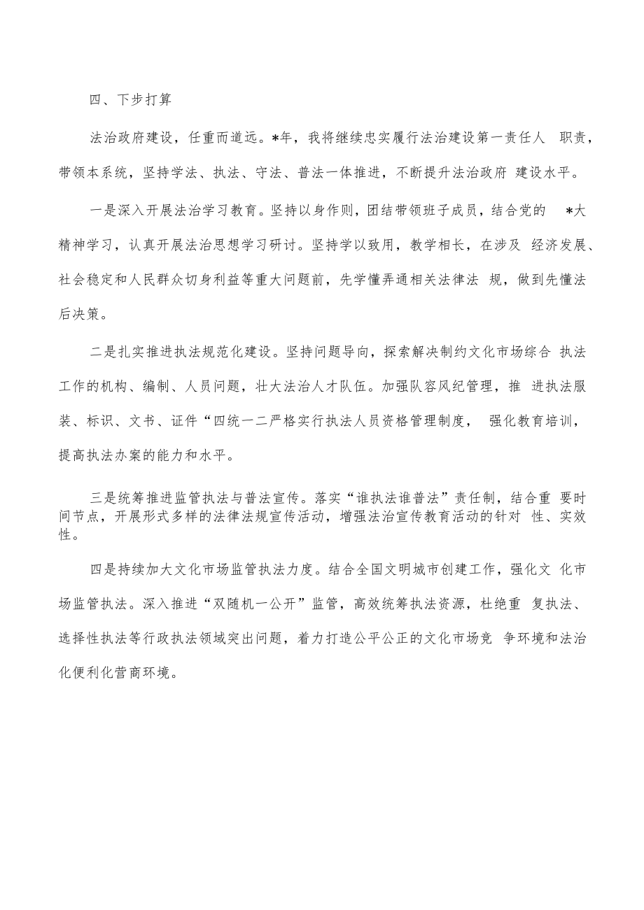 文旅2022年度述法报告.docx_第3页