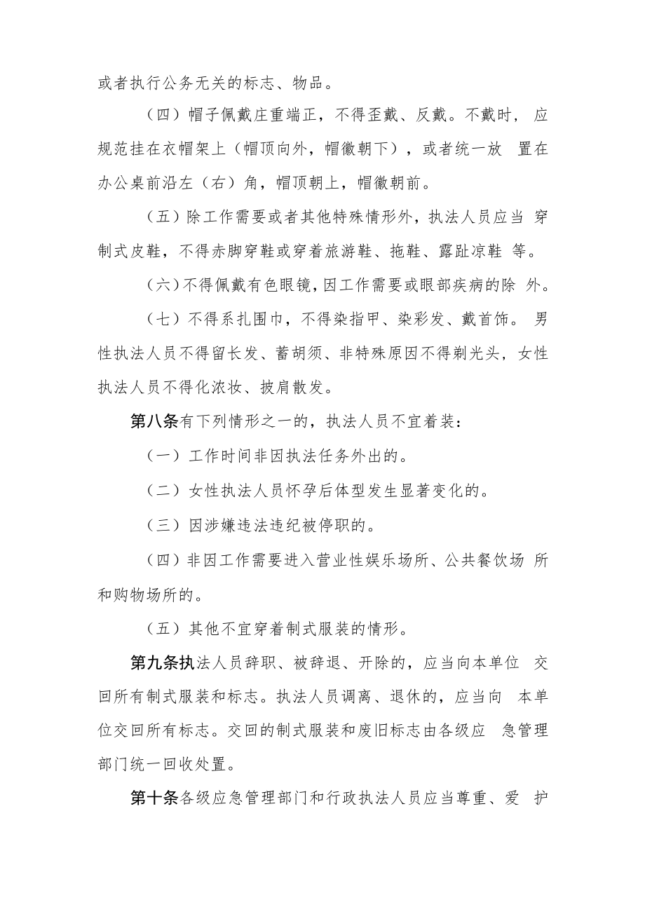 江西省应急管理行政执法人员制式服装着装管理办法（试行）.docx_第3页