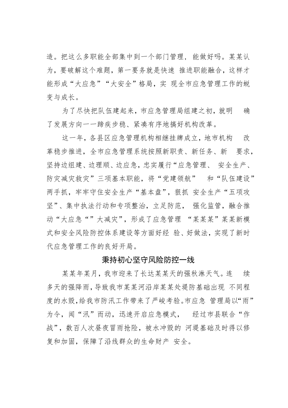 某某市应急管理局成立一周年工作综述.docx_第2页