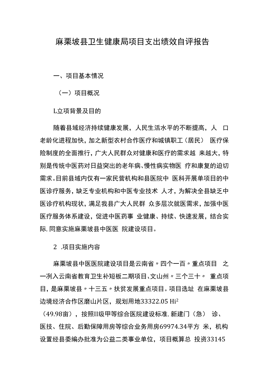 麻栗坡县卫生健康局项目支出绩效自评报告.docx_第1页