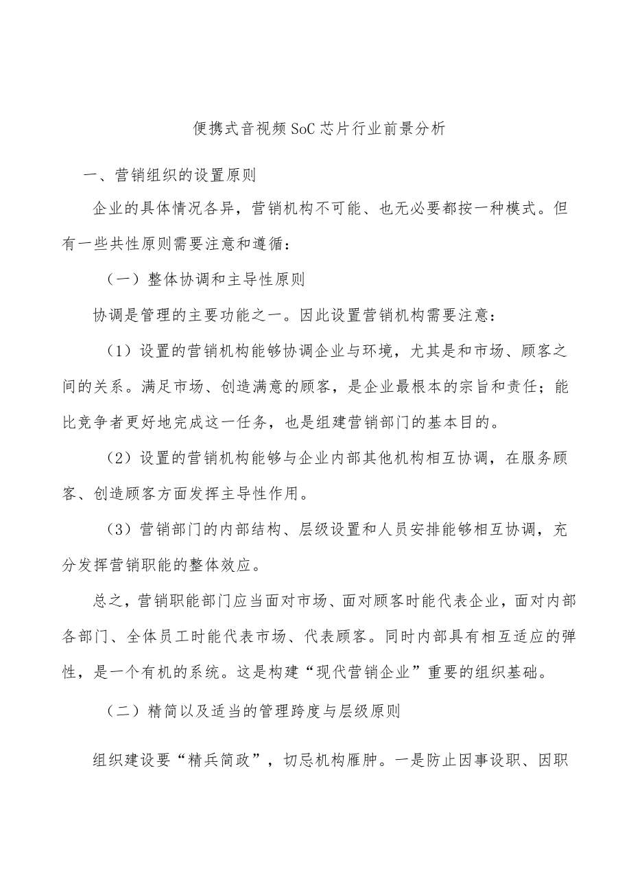 便携式音视频SoC芯片行业前景分析.docx_第1页