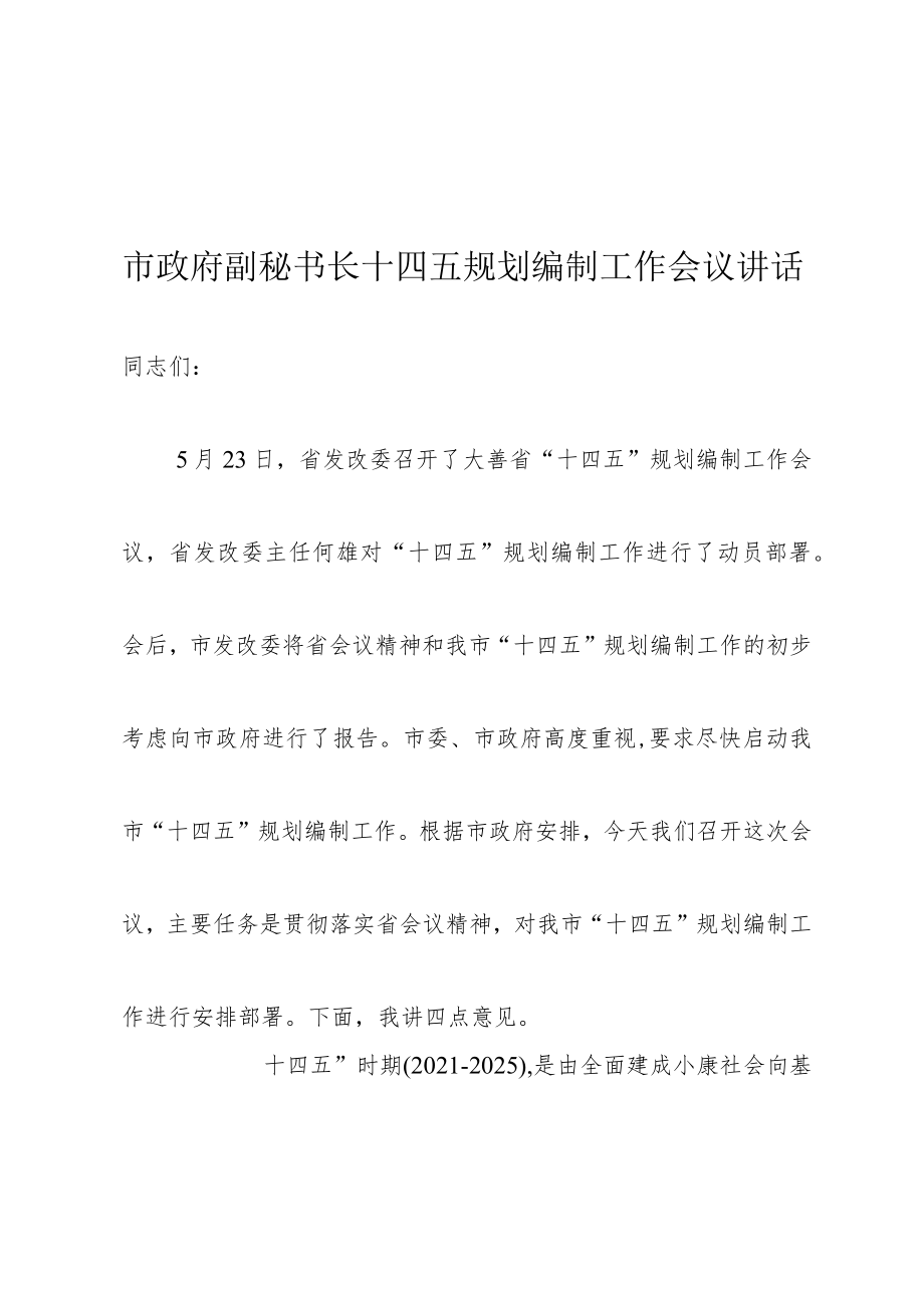 市政府副秘书长十四五规划编制工作会议讲话.docx_第1页