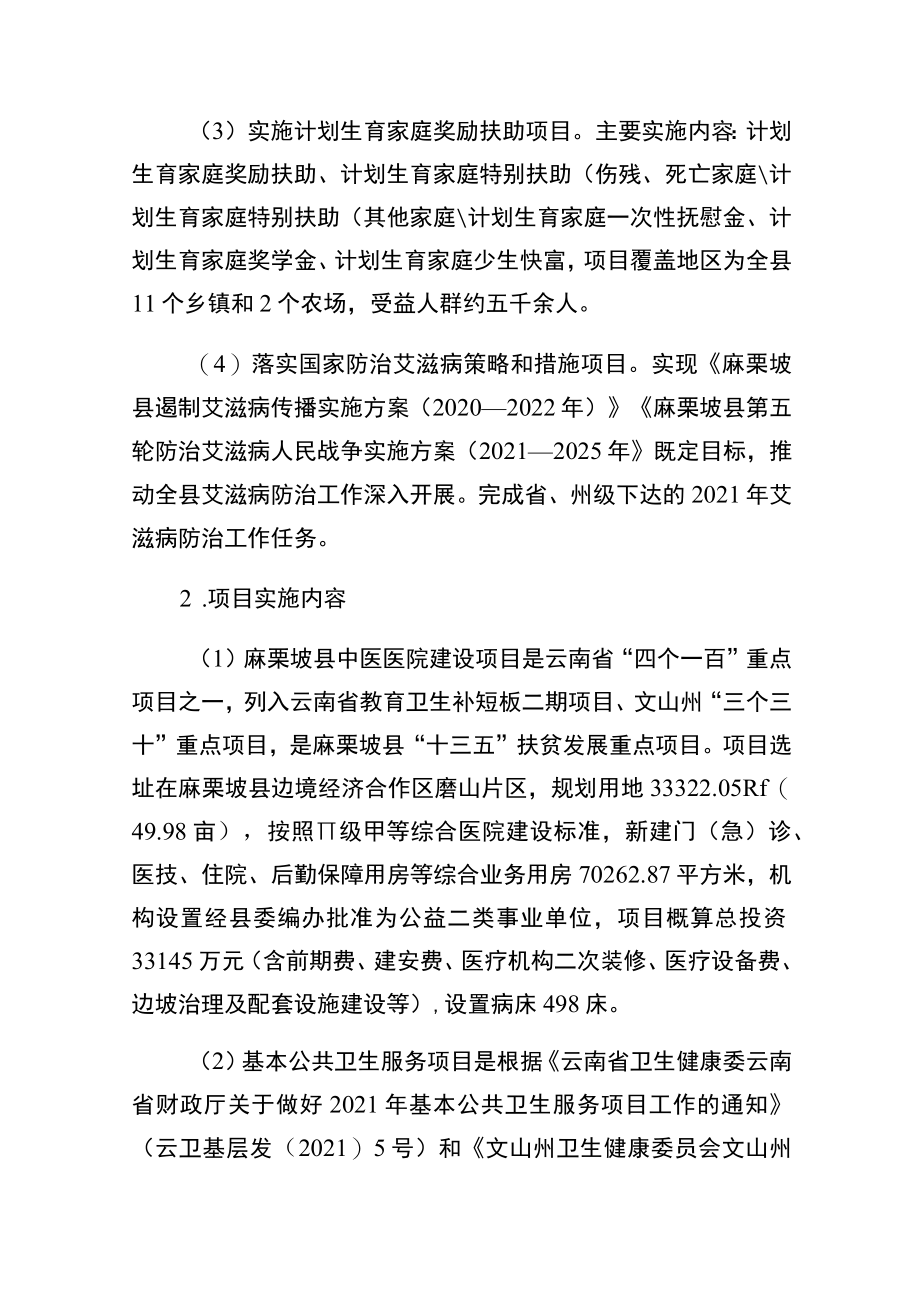 麻栗坡县卫生健康局本级2021年项目支出绩效自评报告.docx_第2页