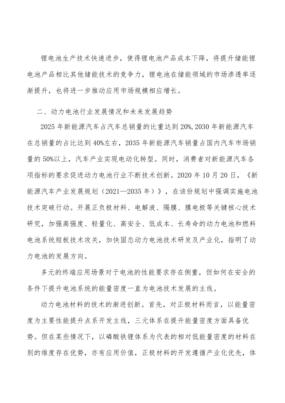 锂离子电池系统行业市场突围战略研究分析.docx_第2页