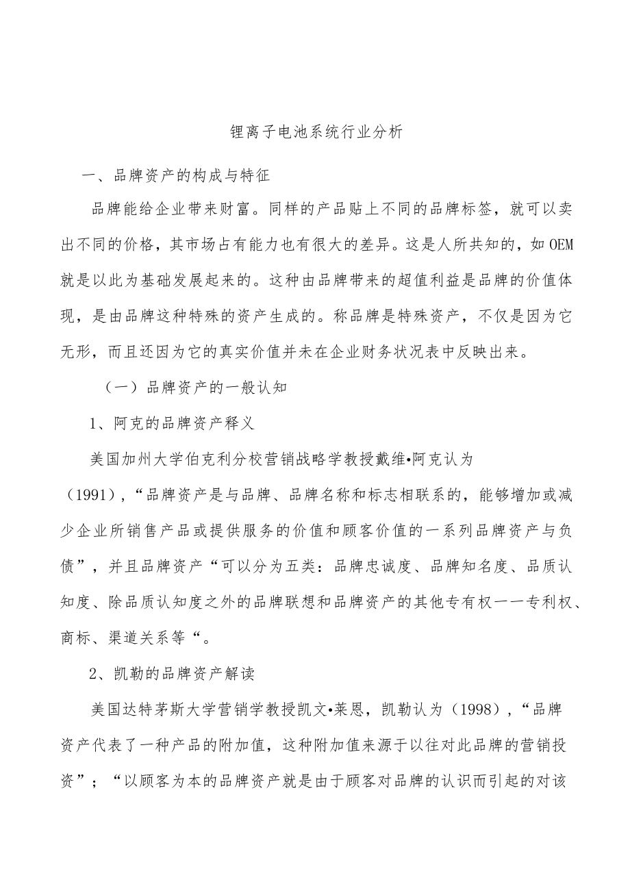 锂离子电池系统行业分析.docx_第1页