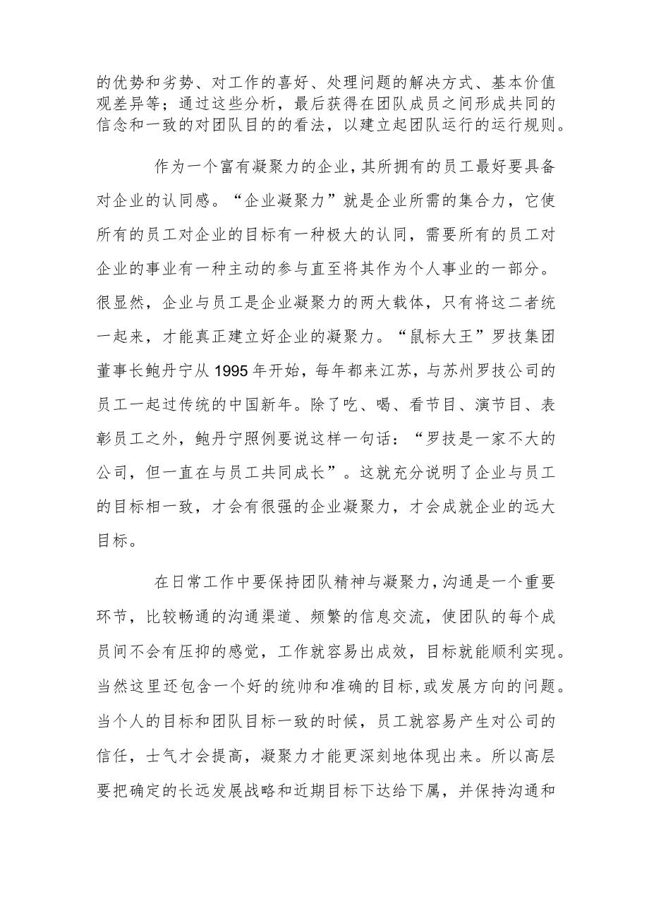 推荐团队精神建设心得体会.docx_第2页