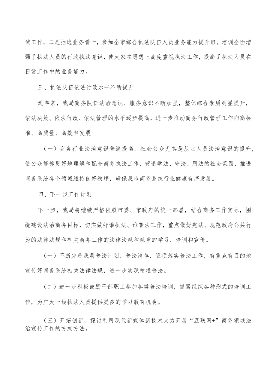 商务谁普法工作总结报告.docx_第3页