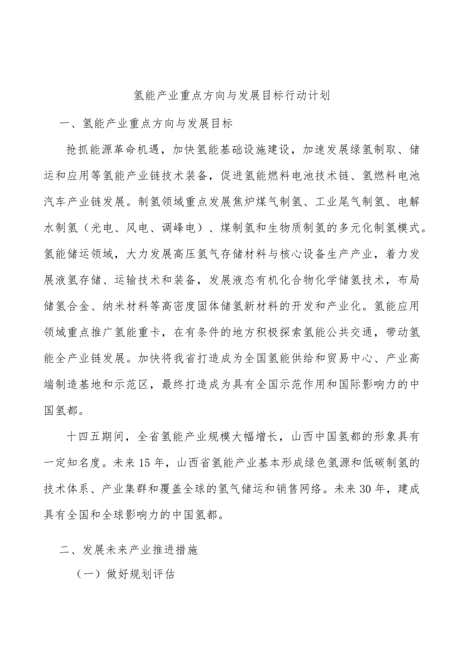 氢能产业重点方向与发展目标行动计划.docx_第1页